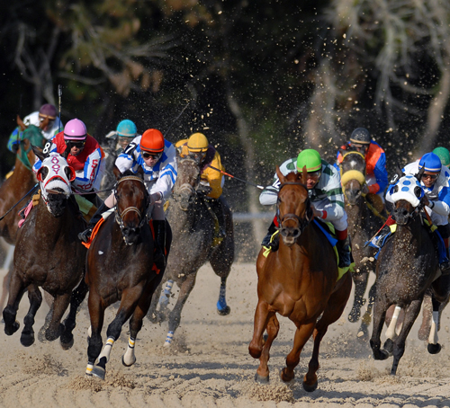 Read more about the article Race Night 2016